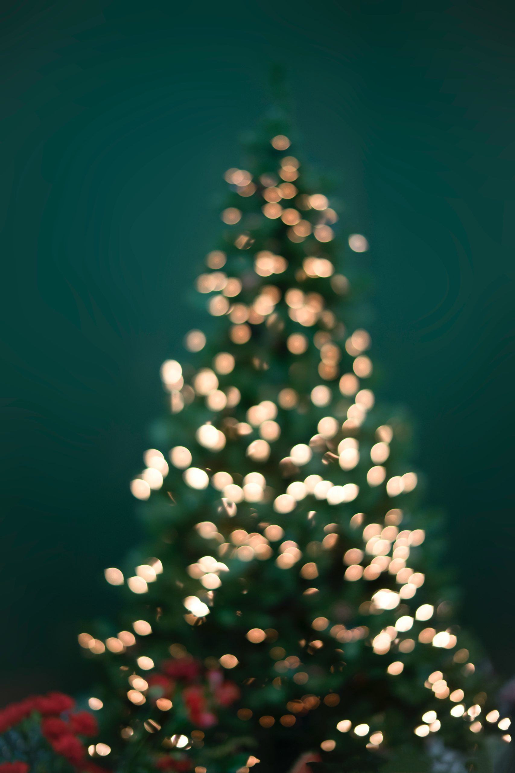 Beleuchteter Weihnachtsbaum auf dunkelgrünem Hintergrund
